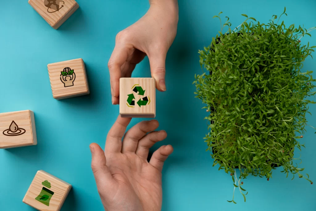 Productos huaipes sostenible